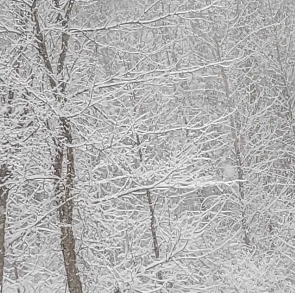 Let it snow